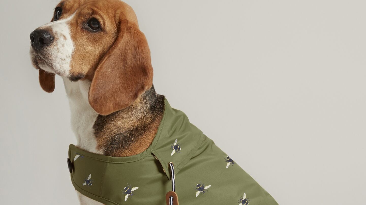 The Joules Bee dog raincoat