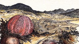 Another Life: Playing the wandering fool beside the whispering Mayo surf