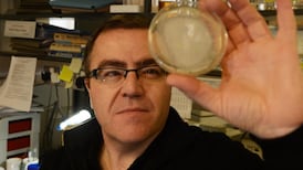 Access Science: Boyle Medal laureate invites us into the complex world of cells