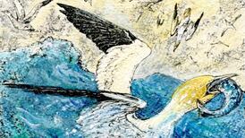 The shifting fortunes of life on Clare Island