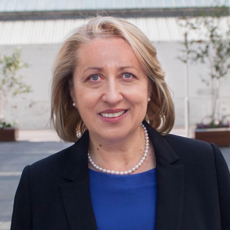 Dr Iulia Siedschlag, associate research professor, notes the 'crucial importance' of FDI.