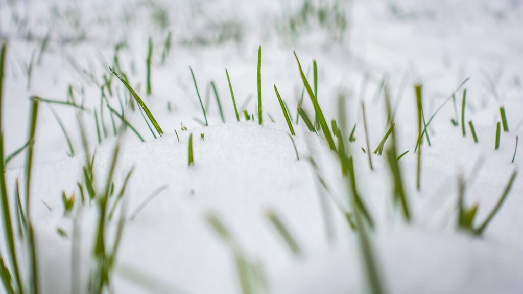 The cold snap is the result of low pressure around Scandinavian countries and high pressure in the Atlantic. File photograph: Getty
