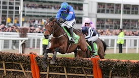 Newsletter may make headlines while Hurricane Fly bids to rewrite record books