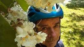 Hearing stories of my homeplace through new friends abroad