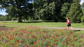 Summer like no other brought runners to places we never imagined