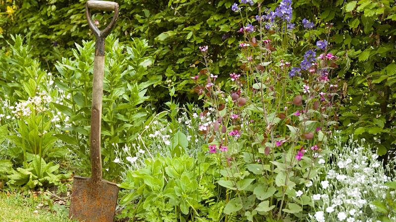 ‘Green care’ has multiple benefits for people’s health and wellbeing