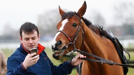 Cheltenham: Faugheen to show class in Champion Hurdle