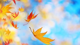 In a Word ... November