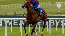 Irish favourite Jan Brueghel ruled out of $8m Melbourne Cup after failed veterinary test