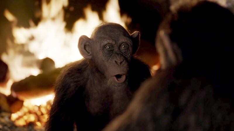 Steve Zahn in War for the Planet of the Apes