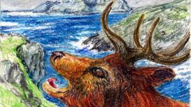 Another Life: Study to reveal Ireland’s deer population