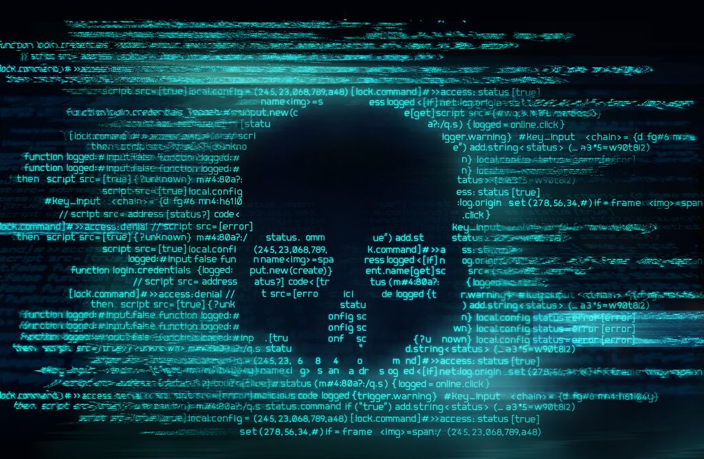 'When it comes to the trade in spyware, there are two actors that have an interest in maintaining the status quo. One is the semi-criminal industry and the other is the governments. And that is a very unusual alignment.' Photograph: iStock