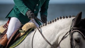 Show Jumping Association of Ireland vote to remove chairman is stalled