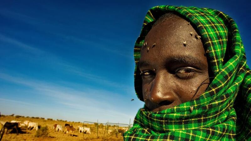 A Masai herder outside a boma (large pen) at Loisaba Conservancy. The cattle are protected from wildlife while enclosed there and guarded at night by the Masai herders. Photograph: Lar Boland