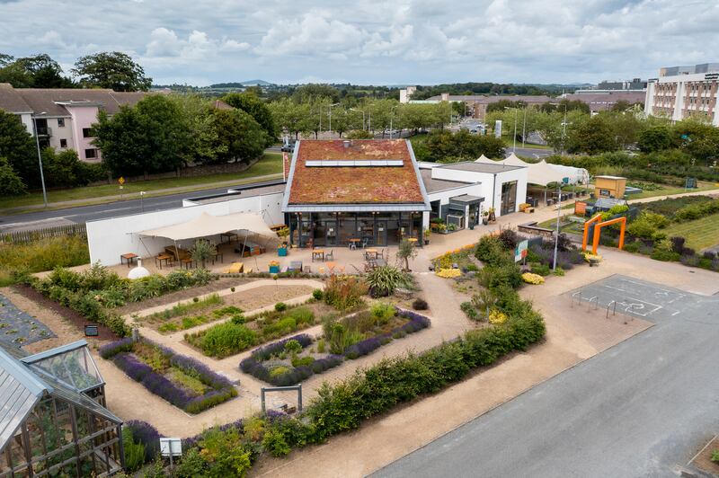 Grow HQ. Photograph: Colin Shanahan