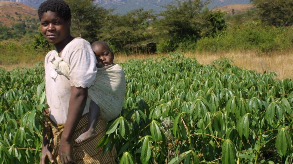 The merger of Irish NGOs Gorta and Self Help Africa last Saturday has created one of the largest non-profit agricultural organisations in Ireland and Britain.
