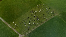 How can farmers produce more food without more pollution?