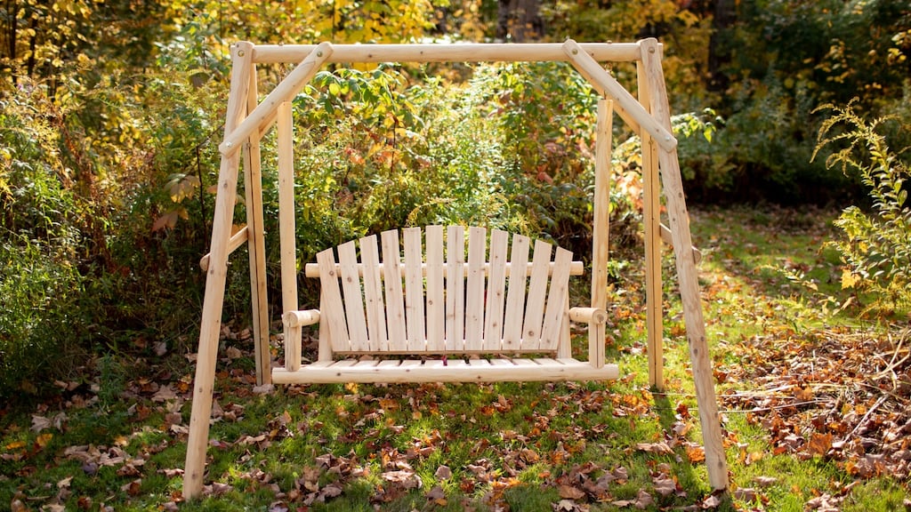Fallen leaves. Photograph: Getty