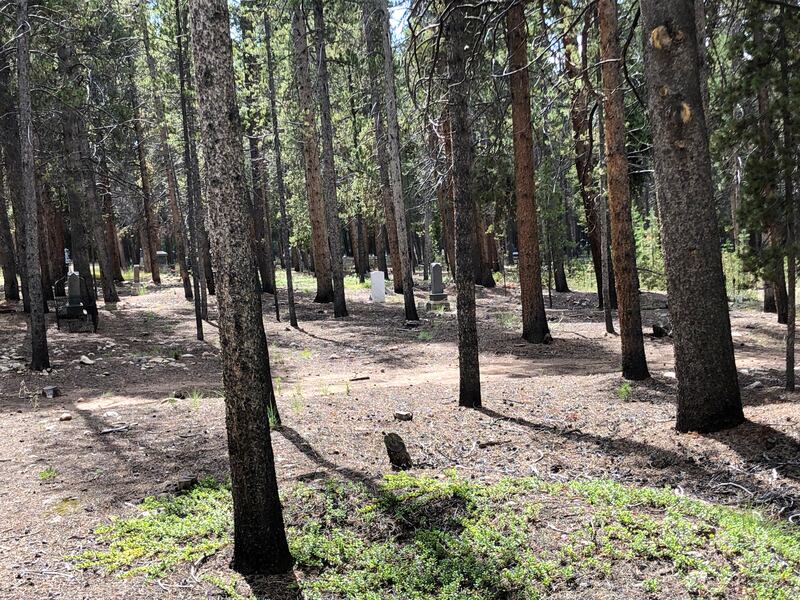 Among trees at Evergreen Cemetery in Leadville, small pieces of wood mark some of the paupers' graves.