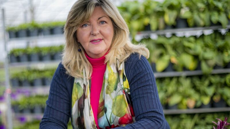 Carol Marks, horticulture sector manager at Bord Bia: 2020 was ‘an extraordinary year for gardening activity’
