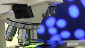 International research collaboration shines light on male infertility