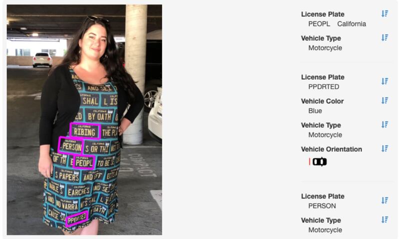 The Adversarial fashion dress as seen by an automatic licence-plate-reader system. Photograph: Kate Rose