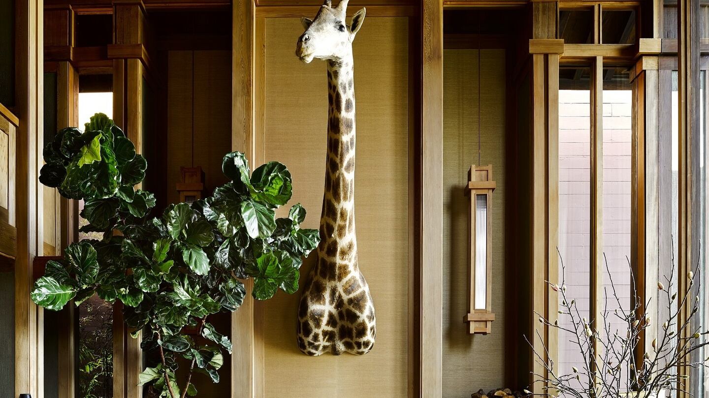 The livingroom of Fulk’s own Duncan House where he marries the idea of taxidermy with beautiful modernist features. Photograph: Douglas Friedman Photography