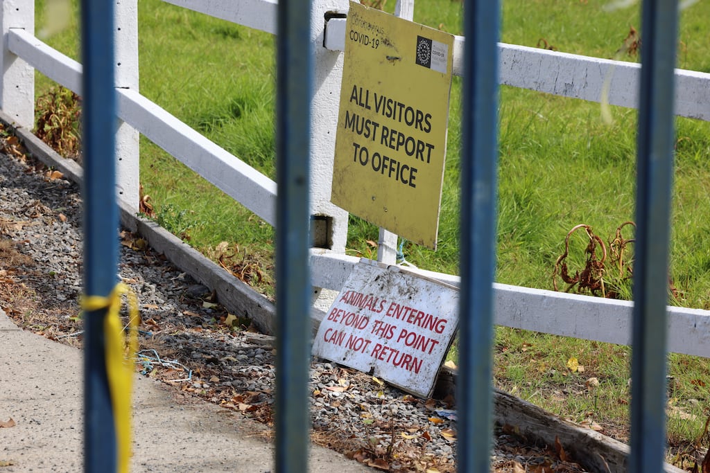 Protestors tied ribbons on the gates of Shannonside Foods Ltd in Straffan, Co Kildare following scenes shown on RTÉ Investigates. Photograph: Dara Mac Dónaill