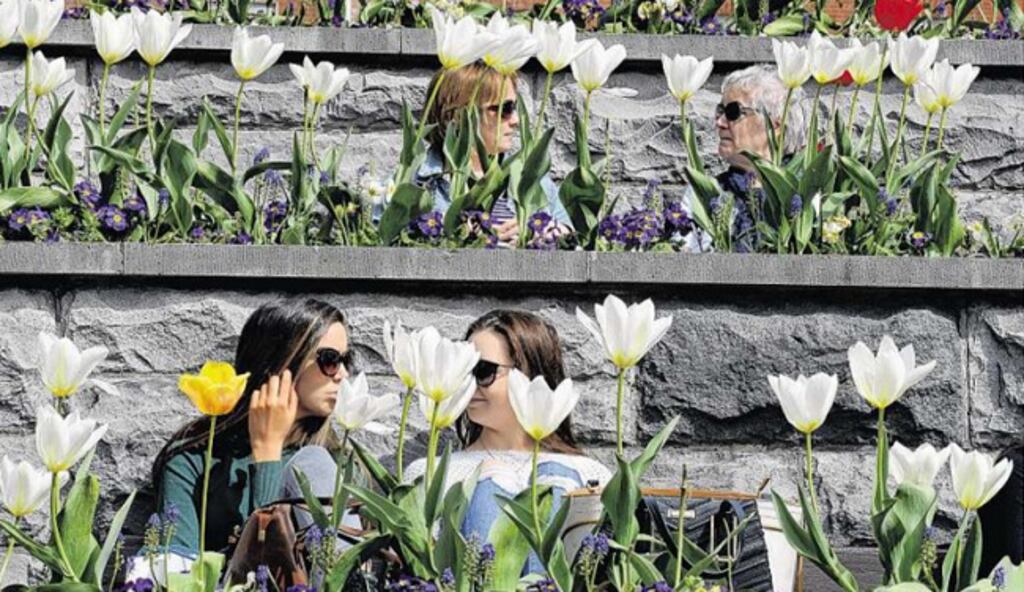 Spring scene: Sunshine, tulips and conversation at the Garden of Remembrance in Dublin as the warm weather continued yesterday. Photograph: Cyril Byrne/The Irish Times