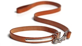 Sean Moncrieff: What puts me off dog ownership is dog owners