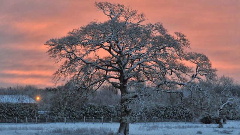 Early morning frost and snow covered fields at Inchigaggin Lane, Cork city. Photograph: Daragh Mc Sweeney/Provision