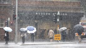 Sydney Letter: Ireland provide spotlight for rugby Down Under