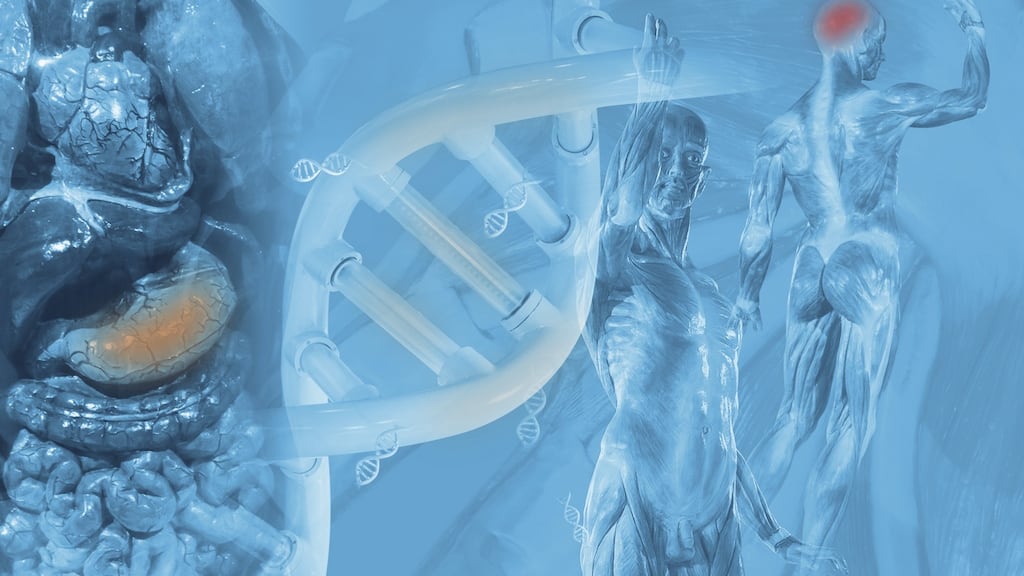 The new roles are being led by the creation of the global research and development facility for medical devices  in  Dublin. Library photograph: iStock