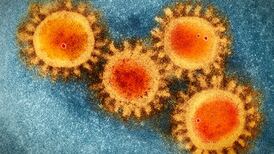 Coronavirus: 310 more cases as school detections rise by 60%