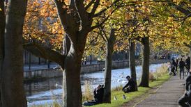 The sophisticated life of plants deserves far greater attention