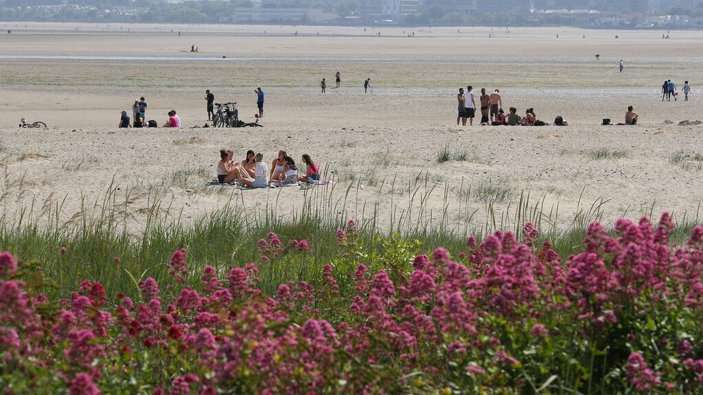 It looks like a good time to get back to the beach with maximum temperatures of 17 to 20 degrees expected on Sunday. Photograph Nick Bradshaw