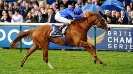 Dawn Approach leads strong Irish hand for English Derby