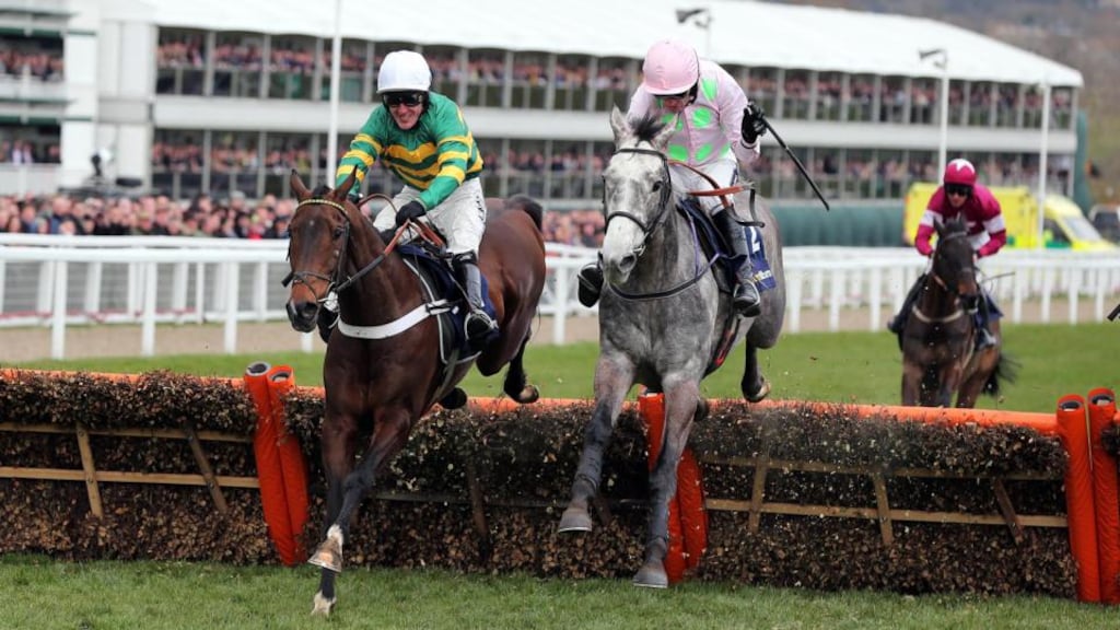 Champagne Fever, ridden by Ruby Walsh, on the way to beating My Tent Or Yours ridden by Tony McCoy to win the William Hill Supreme Hurdle at Cheltenham in 2013. Photo: Dan Sheridan/Inpho