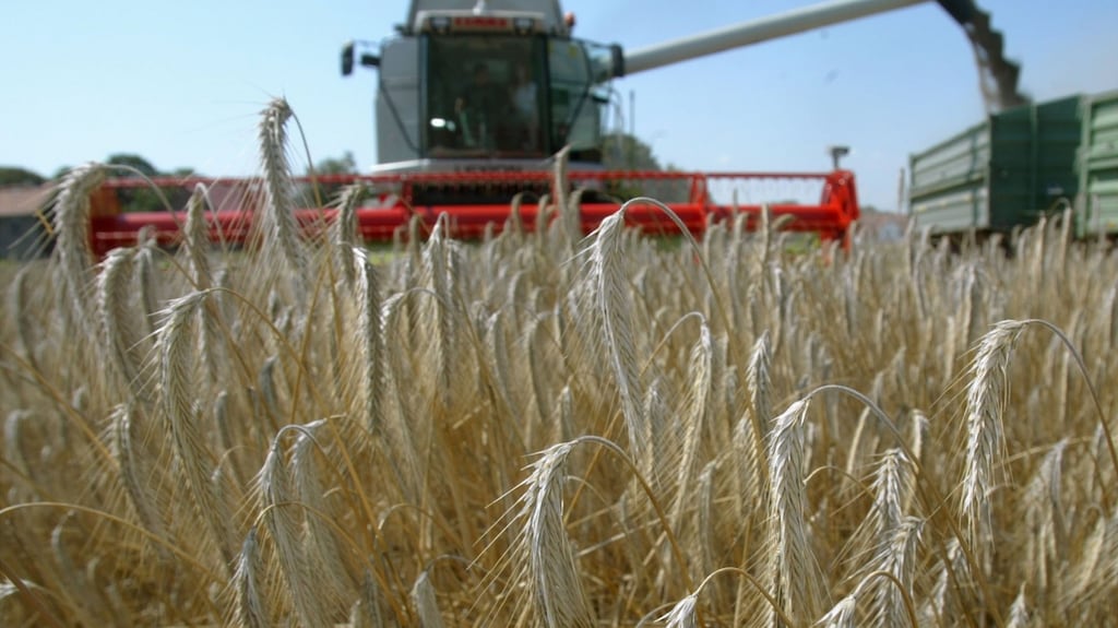 Can it be the energy and swagger of the 1970s are slowly seeping back to rural Ireland