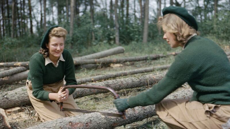 Land Army members sawing larch poles for use as pit props at the Women’s Timber Corps training camp at Culford, Suffolk, 1943 Photograph: IWM/PA
