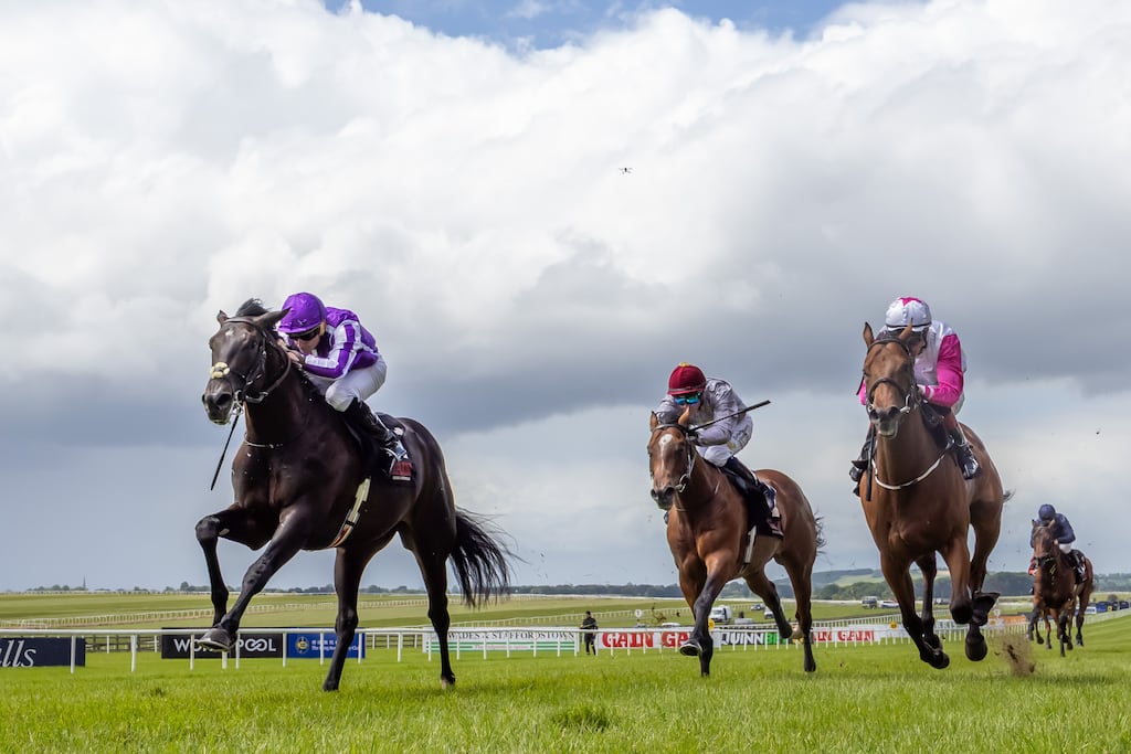 Ryan Moore on Albert Einstein, sired by Coolmore stallion Wootton Bassett, on the way to winning the Marble Hill Stakes at the Curragh in May. Photograph: Morgan Treacy/Inpho