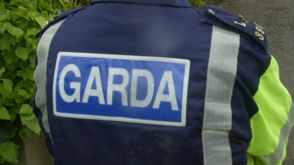 Two gardaí are being treated in Tallaght Hospital after they were assaulted during a raid of a house in Lucan last night.