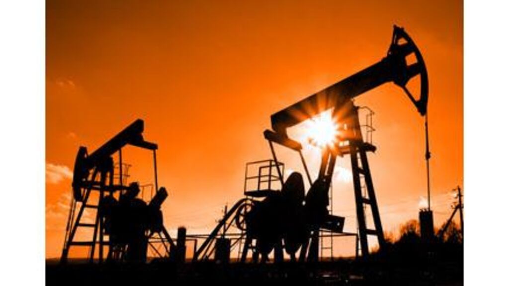 Turkmenistan focused explorer forecasts modest output in coming year.