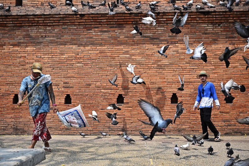A tourist near Ta Pae Gate in Chiang Mai. Photograph: Lillian Suwanrumpha/AFP via Getty