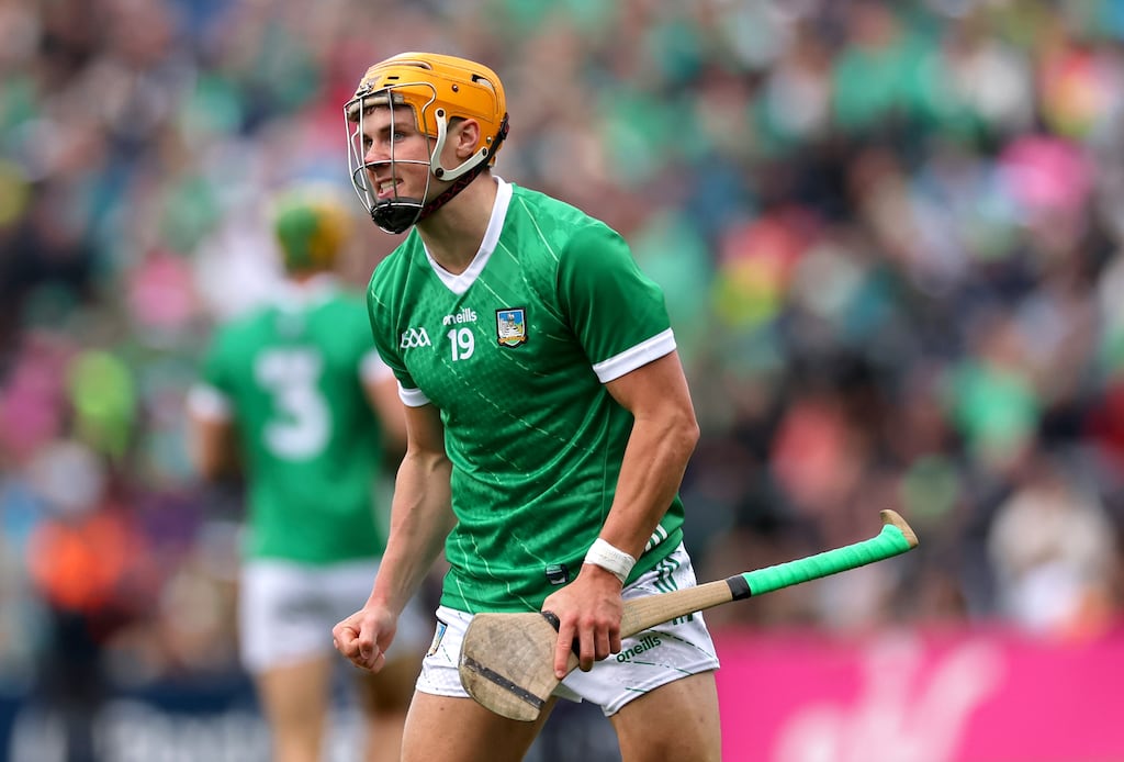 Limerick’s Adam English celebrates scoring a point. Photograph: James Crombie/Inpho