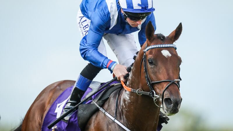 Should the Epsom runner-up, Madhmoon, pictured with Chris Hayes up, break his top-flight duck it will be hugely popular for his 87-year-old trainer Kevin Prendergast. Photograph: Oisin Keniry/Inpho