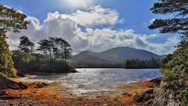 On the hunt on an Irish food safari