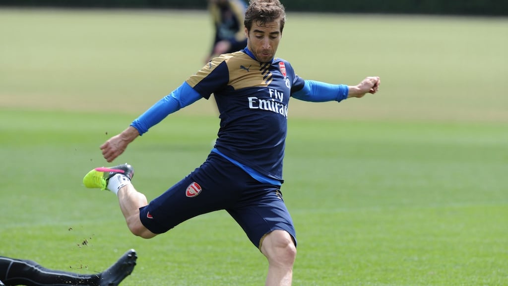 Crystal Palace have signed former Arsenal midfielder Mathieu Flamini on a contract until the end of the season. Photo: Getty Images