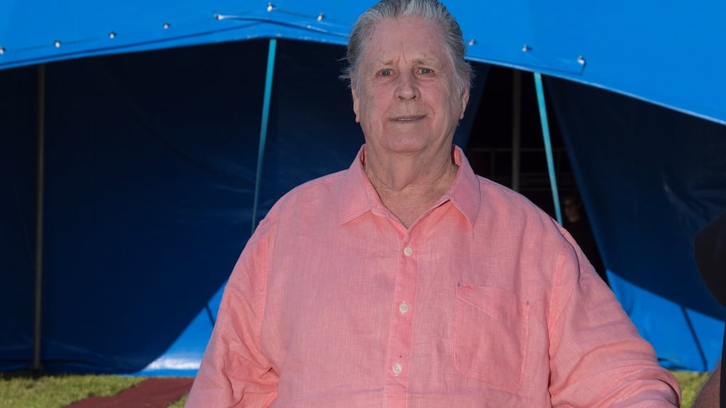 Brian Wilson. Photograph: Andrew Downes/xposure