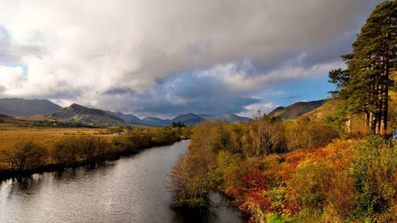 435-million-year-old fossil starfish: Crepidosoma doyleii was found in the Maam Valley, in Connemara, in the 1980s